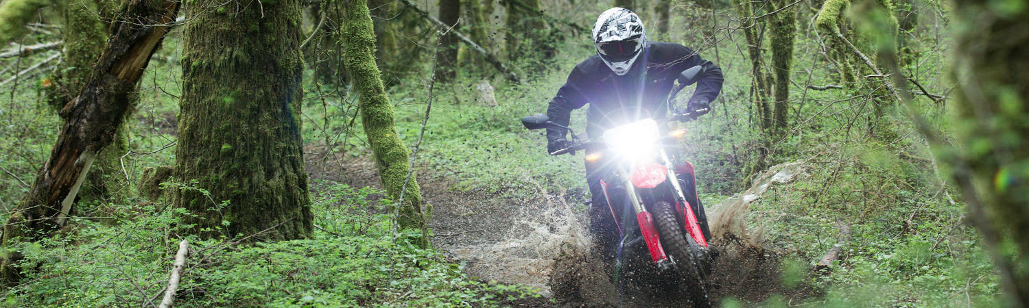 About Young Honda Powerhouse
